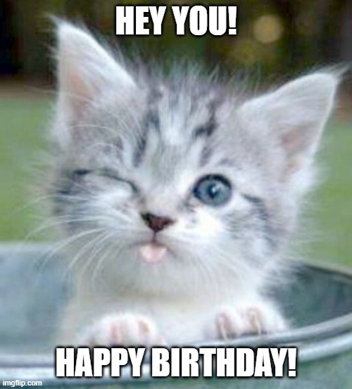 Kitten Happy Birthday Meme